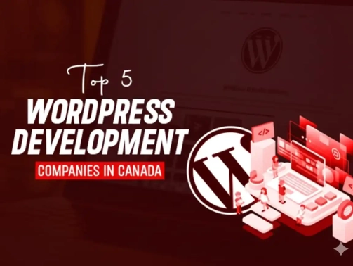 5wordpress