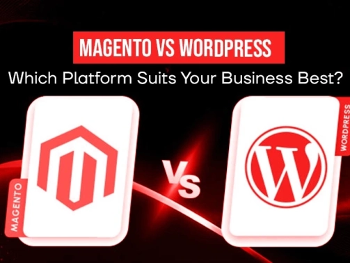 magneto vs wordpress